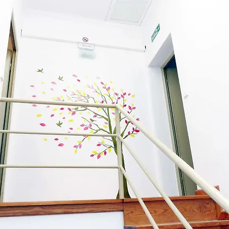 Centre Appartement